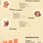 infografica