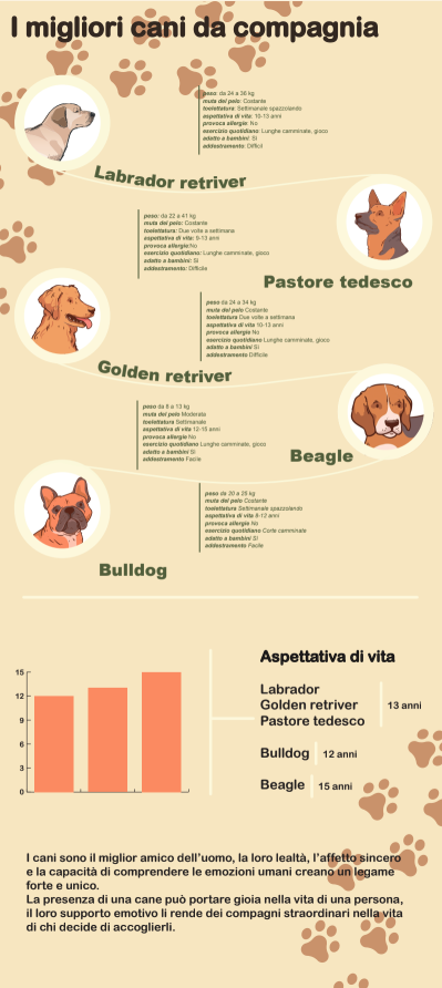 infografica